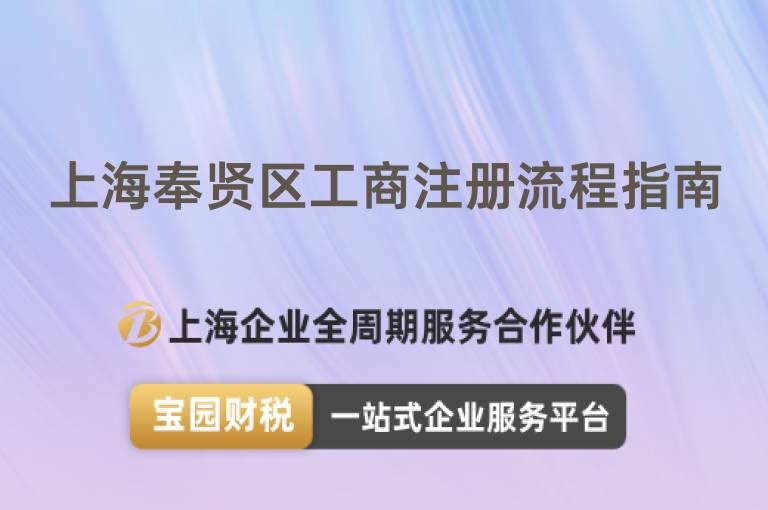 上海奉賢區(qū)工商注冊流程指南