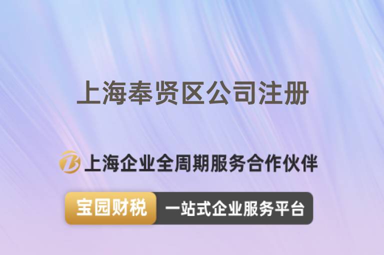 上海奉賢區(qū)公司注冊