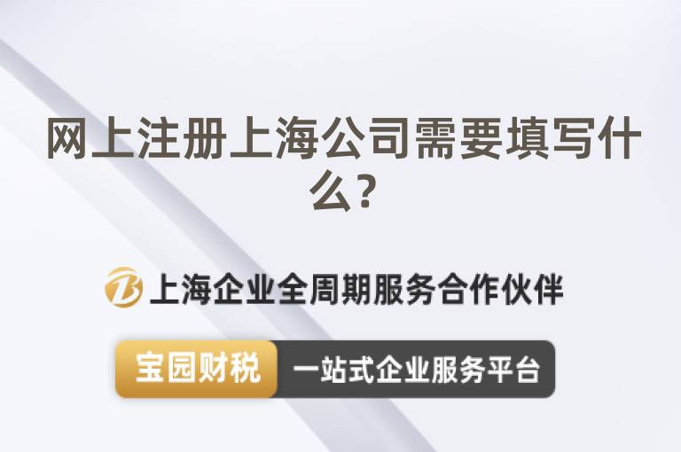 網上注冊上海公司需要填寫什么？