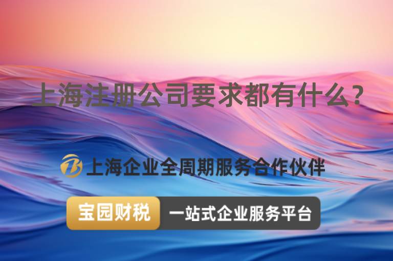 上海注冊公司要求都有什么？