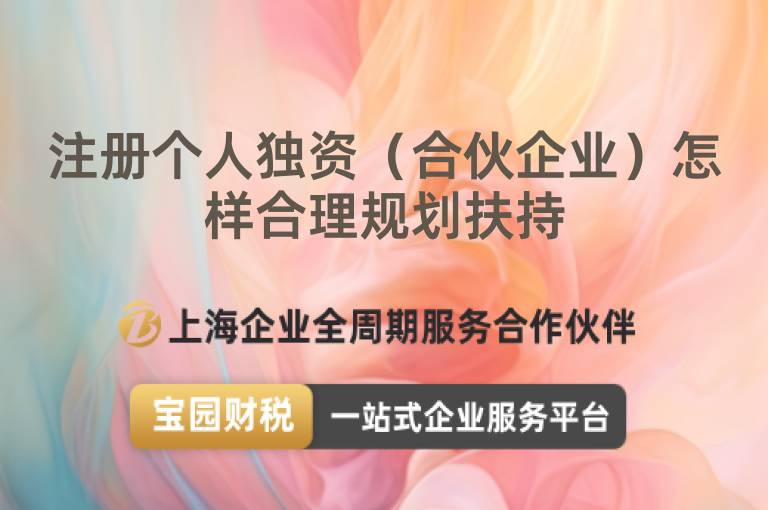 注冊個人獨資（合伙企業）怎樣合理規劃扶持