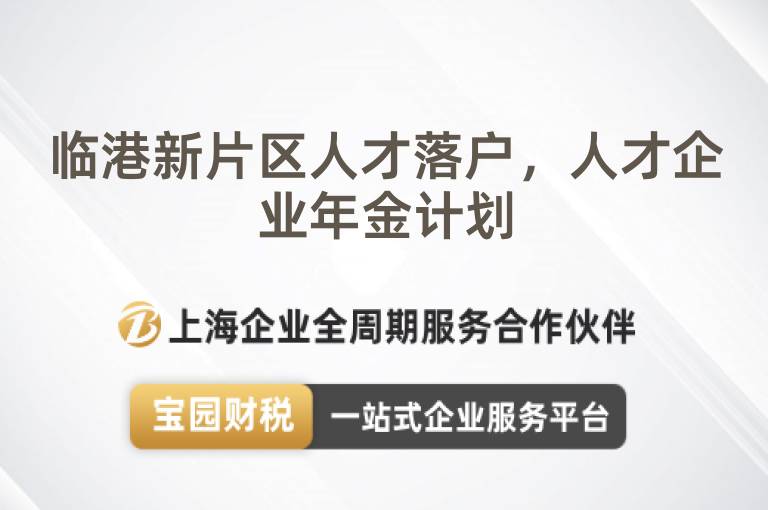 臨港新片區(qū)人才落戶，人才企業(yè)年金計劃