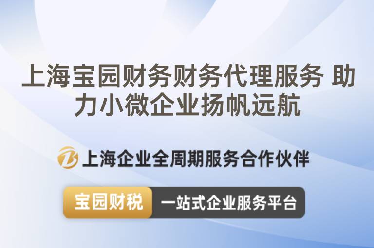 上海寶園財務(wù)財務(wù)代理服務(wù) 助力小微企業(yè)揚帆遠(yuǎn)航
