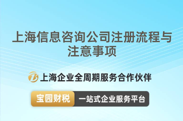 上海信息咨詢(xún)公司注冊(cè)流程與注意事項(xiàng)