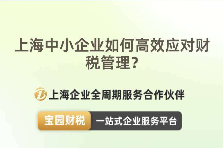 上海中小企業(yè)如何高效應(yīng)對(duì)財(cái)稅管理？